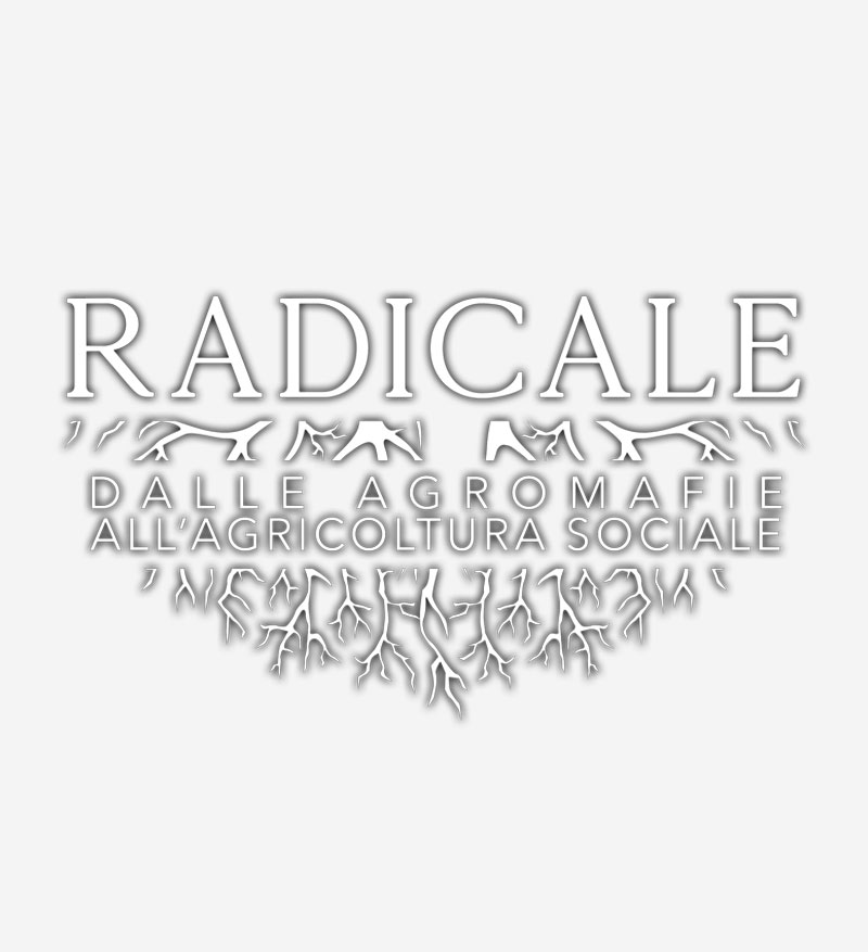 Scuola radcale