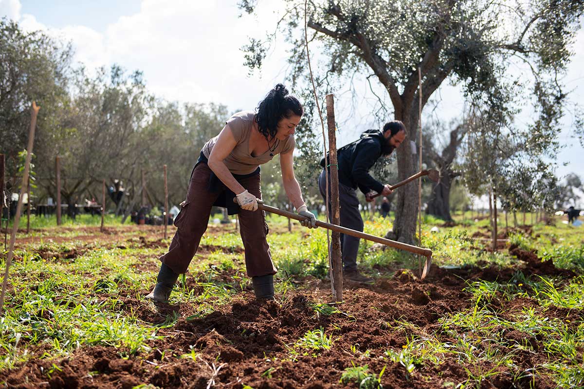 Xfarm Agricoltura Prossima